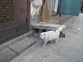 Нажмите на изображение для увеличения.

Название:	06_04_2013 031-20.jpg
Просмотров:	1393
Размер:	191.8 Кб
ID:	3578908
