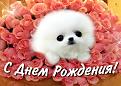 Нажмите на изображение для увеличения.

Название:	orig_0a0436b3fc1965c35841f81d172860d8.jpg
Просмотров:	528
Размер:	91.3 Кб
ID:	3579019