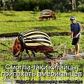 Нажмите на изображение для увеличения.

Название:	щлшз.jpg
Просмотров:	1478
Размер:	58.3 Кб
ID:	3579035