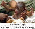 Нажмите на изображение для увеличения.

Название:	image.jpg
Просмотров:	309
Размер:	75.7 Кб
ID:	3579265