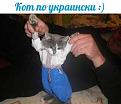 Нажмите на изображение для увеличения.

Название:	бтлшог.jpg
Просмотров:	366
Размер:	37.7 Кб
ID:	3579327