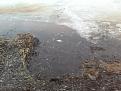 Нажмите на изображение для увеличения.

Название:	PICT0245.jpg
Просмотров:	777
Размер:	193.8 Кб
ID:	3579505