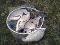 Нажмите на изображение для увеличения.

Название:	2013-04-13 20.02.02.jpg
Просмотров:	695
Размер:	207.3 Кб
ID:	3579966
