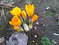 Нажмите на изображение для увеличения.

Название:	IMG-20130414-00204.jpg
Просмотров:	446
Размер:	208.1 Кб
ID:	3580020