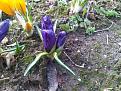 Нажмите на изображение для увеличения.

Название:	IMG-20130414-00206.jpg
Просмотров:	442
Размер:	213.0 Кб
ID:	3580021