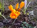 Нажмите на изображение для увеличения.

Название:	IMG-20130414-00208.jpg
Просмотров:	424
Размер:	212.2 Кб
ID:	3580023