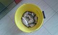 Нажмите на изображение для увеличения.

Название:	20130416_164255.jpg
Просмотров:	1835
Размер:	187.5 Кб
ID:	3580264