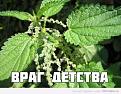 Нажмите на изображение для увеличения.

Название:	2561981.jpg
Просмотров:	1330
Размер:	101.9 Кб
ID:	3580295