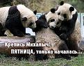 Нажмите на изображение для увеличения.

Название:	getImage (3).jpg
Просмотров:	440
Размер:	81.1 Кб
ID:	3584882
