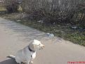Нажмите на изображение для увеличения.

Название:	DSC00438.jpg
Просмотров:	356
Размер:	198.9 Кб
ID:	3584933