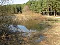 Нажмите на изображение для увеличения.

Название:	IMG_4619.JPG
Просмотров:	898
Размер:	86.4 Кб
ID:	3585180