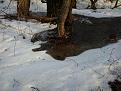 Нажмите на изображение для увеличения.

Название:	2013-04-11 18.18.45.jpg
Просмотров:	1374
Размер:	194.4 Кб
ID:	3585723