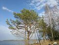 Нажмите на изображение для увеличения.

Название:	2013-04-26-107.jpg
Просмотров:	1990
Размер:	199.9 Кб
ID:	3586869
