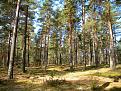 Нажмите на изображение для увеличения.

Название:	099.JPG
Просмотров:	2090
Размер:	181.7 Кб
ID:	3587755