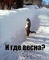 Нажмите на изображение для увеличения.

Название:	getImage (100).jpg
Просмотров:	866
Размер:	27.8 Кб
ID:	3587909