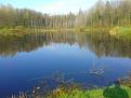 Нажмите на изображение для увеличения.

Название:	20130505_081149x.jpg
Просмотров:	875
Размер:	101.8 Кб
ID:	3588234