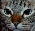 Нажмите на изображение для увеличения.

Название:	IMG_5148.jpg
Просмотров:	463
Размер:	203.4 Кб
ID:	3588710