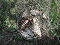 Нажмите на изображение для увеличения.

Название:	image.jpg
Просмотров:	1144
Размер:	211.8 Кб
ID:	3588735