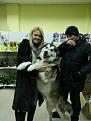 Нажмите на изображение для увеличения.

Название:	Маламут 002.jpg
Просмотров:	340
Размер:	71.7 Кб
ID:	3592944