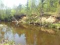 Нажмите на изображение для увеличения.

Название:	20130510_112146.jpg
Просмотров:	1336
Размер:	198.0 Кб
ID:	3593230