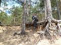 Нажмите на изображение для увеличения.

Название:	SAM_1118.jpg
Просмотров:	244
Размер:	113.4 Кб
ID:	3593804