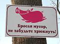 Нажмите на изображение для увеличения.

Название:	getImage (1).jpg
Просмотров:	298
Размер:	51.9 Кб
ID:	3593937