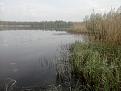 Нажмите на изображение для увеличения.

Название:	P140513_0918.jpg
Просмотров:	610
Размер:	190.6 Кб
ID:	3594247