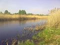 Нажмите на изображение для увеличения.

Название:	16052013308.jpg
Просмотров:	1126
Размер:	141.4 Кб
ID:	3594809