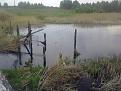 Нажмите на изображение для увеличения.

Название:	16052013318.jpg
Просмотров:	958
Размер:	193.1 Кб
ID:	3594812