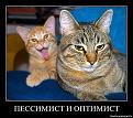 Нажмите на изображение для увеличения.

Название:	getImage (19).jpg
Просмотров:	911
Размер:	49.0 Кб
ID:	3595003