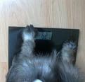 Нажмите на изображение для увеличения.

Название:	20130518206.jpg
Просмотров:	464
Размер:	209.7 Кб
ID:	3595107