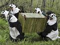 Нажмите на изображение для увеличения.

Название:	img_catsmob_dot_com_20120506_00832_070.jpg
Просмотров:	345
Размер:	61.8 Кб
ID:	3595151