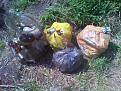 Нажмите на изображение для увеличения.

Название:	05-18-2013 13.24.56.jpg
Просмотров:	430
Размер:	206.3 Кб
ID:	3595210