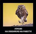 Нажмите на изображение для увеличения.

Название:	1040668715.jpg
Просмотров:	386
Размер:	47.6 Кб
ID:	3595929