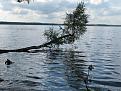 Нажмите на изображение для увеличения.

Название:	IMG_5489.jpg
Просмотров:	811
Размер:	85.3 Кб
ID:	3596254