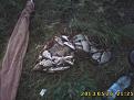 Нажмите на изображение для увеличения.

Название:	IMG1260.jpg
Просмотров:	1688
Размер:	125.6 Кб
ID:	3597020