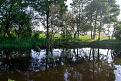 Нажмите на изображение для увеличения.

Название:	20130526-DSC_0273.jpg
Просмотров:	900
Размер:	208.3 Кб
ID:	3597095