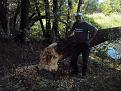 Нажмите на изображение для увеличения.

Название:	брат бобра.jpg
Просмотров:	330
Размер:	192.2 Кб
ID:	3601473