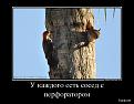 Нажмите на изображение для увеличения.

Название:	dem-0006.jpg
Просмотров:	1363
Размер:	152.5 Кб
ID:	3608533