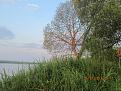 Нажмите на изображение для увеличения.

Название:	IMG_1241.jpg
Просмотров:	1570
Размер:	204.0 Кб
ID:	3611405