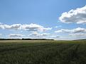 Нажмите на изображение для увеличения.

Название:	IMG_2265.jpg
Просмотров:	1042
Размер:	67.7 Кб
ID:	3611518