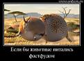 Нажмите на изображение для увеличения.

Название:	15.jpg
Просмотров:	1406
Размер:	49.7 Кб
ID:	3611674