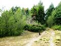 Нажмите на изображение для увеличения.

Название:	IMG_4084.jpg
Просмотров:	1299
Размер:	88.8 Кб
ID:	3614157