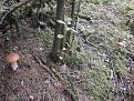 Нажмите на изображение для увеличения.

Название:	P7270466.jpg
Просмотров:	638
Размер:	213.6 Кб
ID:	3614714