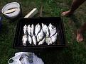 Нажмите на изображение для увеличения.

Название:	20130728_122418.jpg
Просмотров:	1315
Размер:	200.7 Кб
ID:	3615597