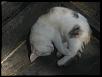 Нажмите на изображение для увеличения.

Название:	IMG_2189.jpg
Просмотров:	482
Размер:	74.1 Кб
ID:	3616778