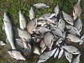 Нажмите на изображение для увеличения.

Название:	20130809_103031.jpg
Просмотров:	1495
Размер:	206.0 Кб
ID:	3617546