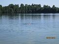 Нажмите на изображение для увеличения.

Название:	IMG_3595.jpg
Просмотров:	708
Размер:	192.4 Кб
ID:	3618042