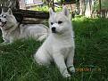 Нажмите на изображение для увеличения.

Название:	IMG_3607.jpg
Просмотров:	494
Размер:	123.5 Кб
ID:	3619870