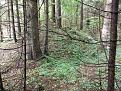 Нажмите на изображение для увеличения.

Название:	DSCF1265.jpg
Просмотров:	1043
Размер:	84.2 Кб
ID:	3621701